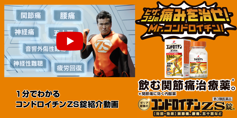 1分でわかるコンドロイチンZS錠紹介動画