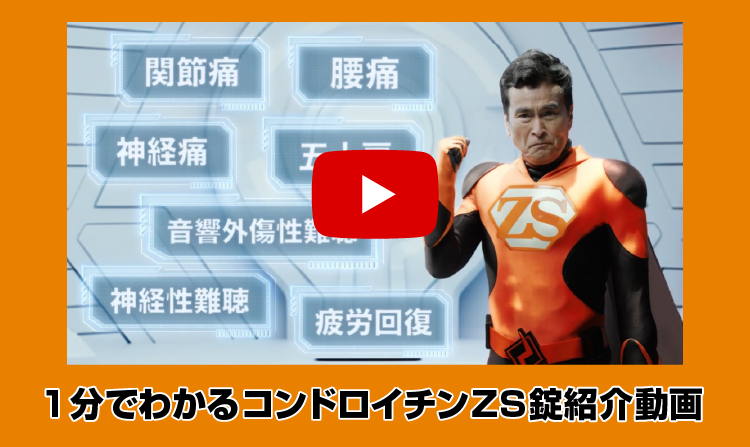 1分でわかるコンドロイチンZS錠紹介動画
