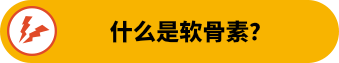 什么是软骨素？