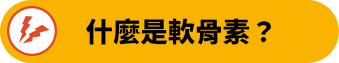 什麼是軟骨素？